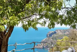 Descanso veraniego jigsaw puzzle