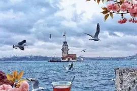 Hermosa Vista jigsaw puzzle