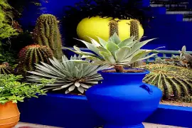 523.- JARDIN NORTEÑO jigsaw puzzle