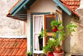 פאזל של Gato en el tejado