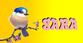 fondo de pantalla sara