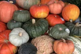 Autumn pumpkins piled high
