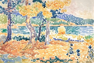 Pines on the Coastline