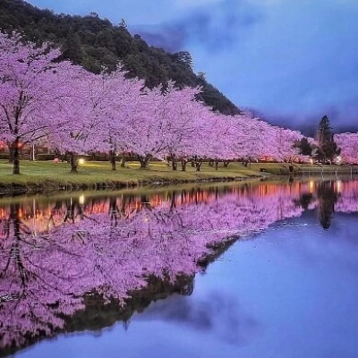 Japón