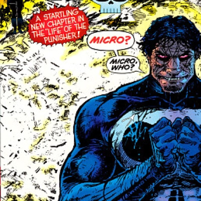 PUNISHER 15