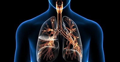 sistema respiratorio II