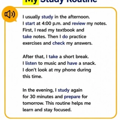 My Study Routine