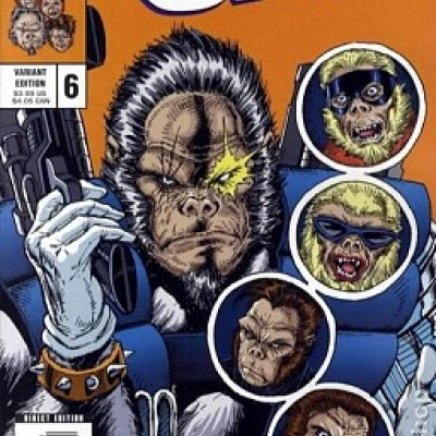 CABLE 13