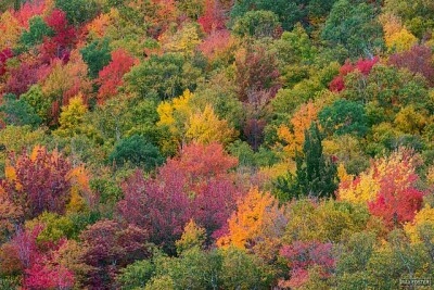 colorful