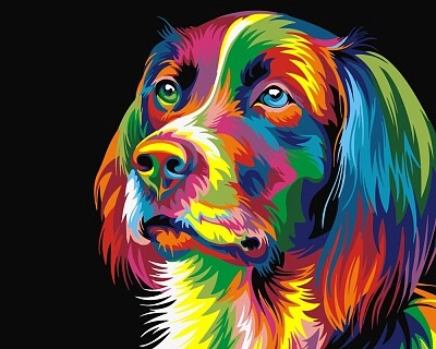 Colour Dog
