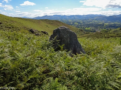 Menhir de Gaztenbakarre