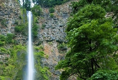 Nature