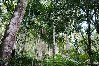 Nature