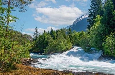 Nature