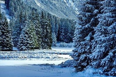 Nature