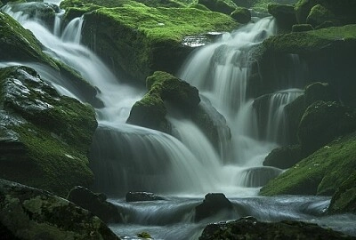 Nature