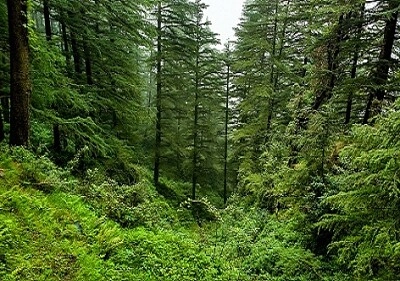 Nature