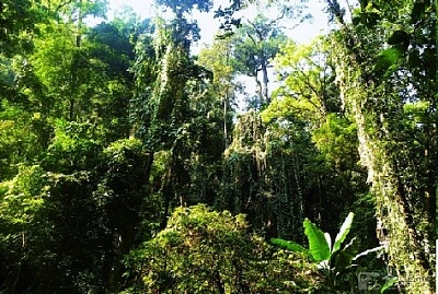 Nature