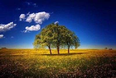 Nature