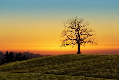 Nature