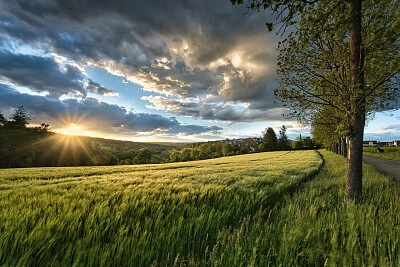 Nature