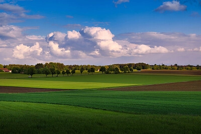 Nature