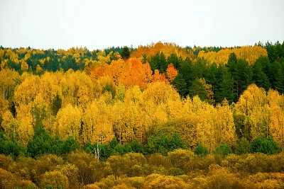 Nature