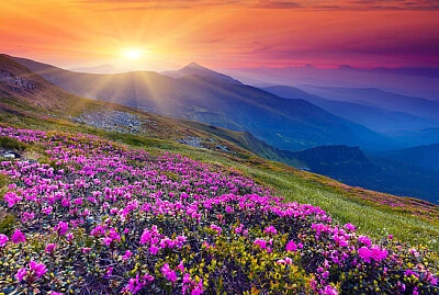 Nature