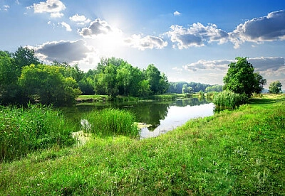 Nature