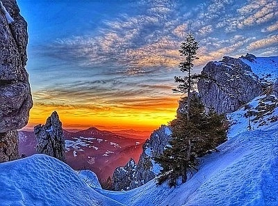 Nature