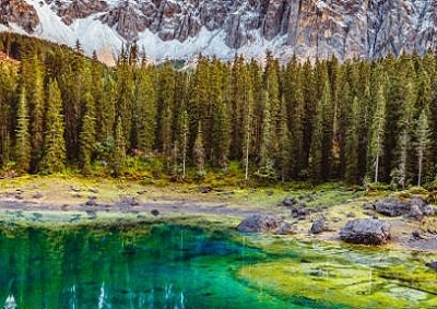 Nature