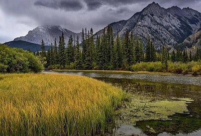 Nature
