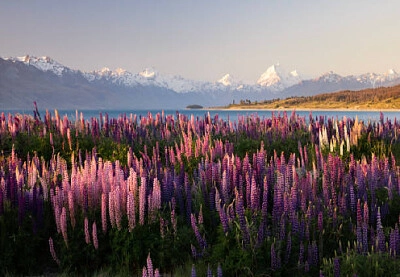 Nature