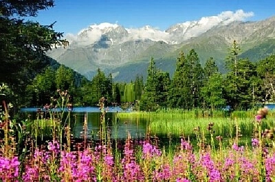 Nature