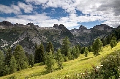 Nature