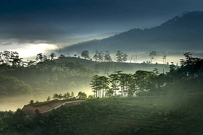 Nature