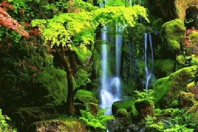 Nature