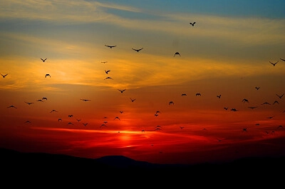 Nature
