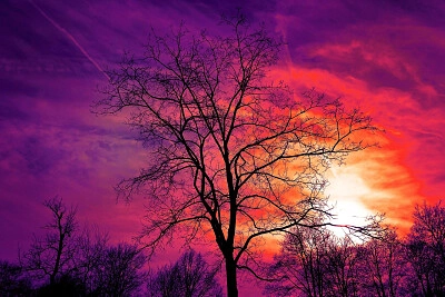 Nature