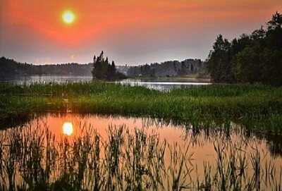 Nature