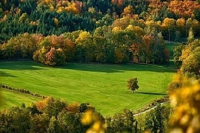 Nature