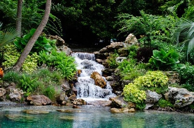 Nature