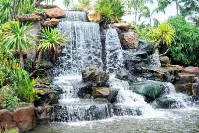 Nature