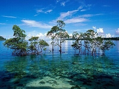 Nature