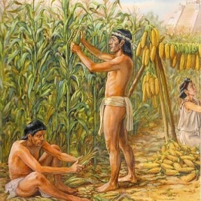 Para iniciar una actividad de Historia