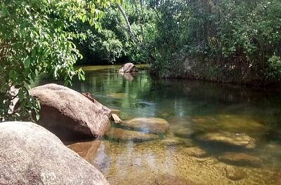 Nature