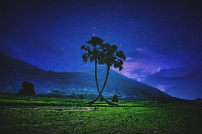 Nature