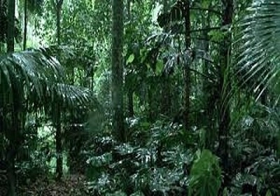 Nature