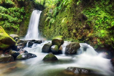 Nature