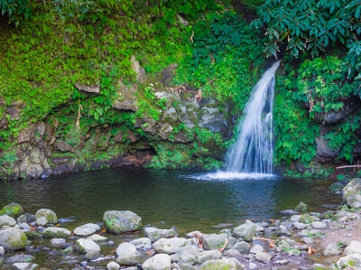 Nature